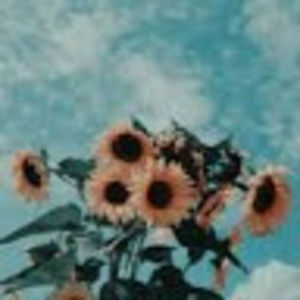 Meet your Posher, Amara